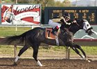 Ten Get Tested in El Camino Real Derby Ten Get Tested in El Camino Real Derby