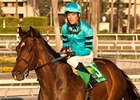 Tyler Baze and Lucky Primo, winners of the Lava Man California Cup Classic Oct. 13 at Santa Anita Park.