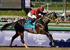 Trinniberg and Willie Martinez come home strong to win the Breeders' Cup Sprint.<br><a target="blank" href="http://photos.bloodhorse.com/BreedersCup/2012-Breeders-Cup/Sprint/26128714_drZjpJ#!i=2193059498&k=KhFN9LD">Order This Photo</a>