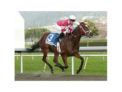 Gold Rush winner Positive Response faces 11 in the California Derby.