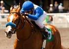 Bench Points wins the Laz Berrera Stakes.
<br><a target="blank" href="http://www.bloodhorse.com/horse-racing/photo-store?ref=http%3A%2F%2Fpictopia.com%2Fperl%2Fgal%3Fprovider_id%3D368%26ptp_photo_id%3D9526173%26ref%3Dstory">Order This Photo</a>