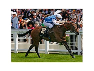 Goldikova takes the Queen Anne at Royal Ascot.<br><a target="blank" href="http://www.bloodhorse.com/horse-racing/photo-store?ref=http%3A%2F%2Fpictopia.com%2Fperl%2Fgal%3Fprovider_id%3D368%26ptp_photo_id%3D9073271%26ref%3Dstory">Order This Photo</a>