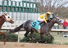 Conveyance will make his 2011 debut in the Mahab Al Shimaal at Meydan Racecourse March 3.