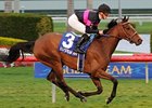 Kathmanblu, who won the Sweetest Chant on the turf on Jan. 22, is back on dirt for the Rachel Alexandra.<br><a target="blank" href="http://www.bloodhorse.com/horse-racing/photo-store?ref=http%3A%2F%2Fpictopia.com%2Fperl%2Fgal%3Fprovider_id%3D368%26ptp_photo_id%3D9379629%26ref%3Dstory">Order This Photo</a>
