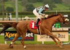 No worries for Aggie Engineer and Joe Talamo in the San Pasqual Stakes.<br><a target="blank" href="http://www.bloodhorse.com/horse-racing/photo-store?ref=http%3A%2F%2Fpictopia.com%2Fperl%2Fgal%3Fprovider_id%3D368%26ptp_photo_id%3D9361393%26ref%3Dstory">Order This Photo</a>