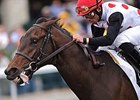 Brilliant Speed and Joel Rosario take the Blue Grass in the last jump.<br><a target="blank" href="http://www.bloodhorse.com/horse-racing/photo-store?ref=http%3A%2F%2Fpictopia.com%2Fperl%2Fgal%3Fprovider_id%3D368%26ptp_photo_id%3D9493602%26ref%3Dstory">Order This Photo</a>