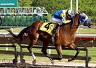 Country Flavor upsets the field in the Hanshin Cup at Arlington.