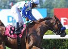 Funny Moon Bred on Miler-Over-Stamina Model Funny Moon Bred on Miler-Over-Stamina Model