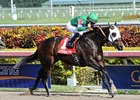 Merit Man streaks home in the Spectacular Bid Stakes. <br><a target="blank" href="http://photos.bloodhorse.com/AtTheRaces-1/at-the-races-2013/27257665_QgCqdh#!i=2299418154&k=8NfnWFs">Order This Photo</a>