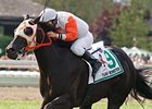 Ben's Cat won the 2011 Turf Monster by a half-length.