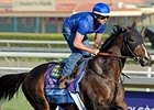 Title Contender Gets His Shot in Ohio Derby Title Contender Gets His Shot in Ohio Derby