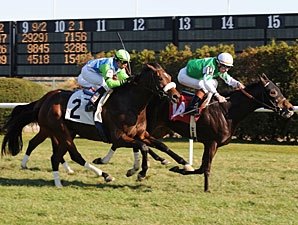 Barbaro Brother Lentenor Second in Turf Debut Barbaro Brother Lentenor Second in Turf Debut