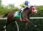 Grade I winner Daisy Devine takes on 5 in the Early Times Mint Julep.<br><a target="blank" href="http://photos.bloodhorse.com/AtTheRaces-1/at-the-races-2012/22274956_jFd5jM#!i=1800336482&k=Kh3cSWg">Order This Photo</a>