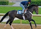 Dialed In Early 3-1 Kentucky Derby Favorite Dialed In Early 3-1 Kentucky Derby Favorite