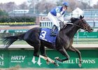 Einstein Set for Season Debut in Donn Einstein Set for Season Debut in Donn