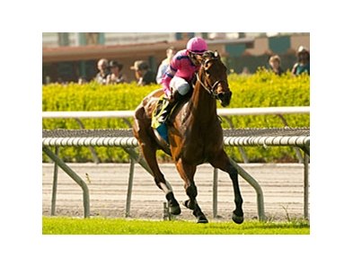 Capital Plan and Brice Blanc take the Santa Barbara.