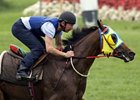 Archipenko will enter stud at Kristen Rausing's Lanwades Stud near Newmarket, England, in 2010.