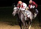 Breeders' Cup Offers Ladies' Classic Contest Breeders' Cup Offers Ladies' Classic Contest
