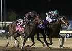 Bayerd wins the Remington Springboard Mile.