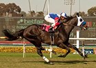 Halo Dolly wins the Wilshire Handicap.