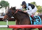Mac Diarmida: Amira's Prince Has Perfect Run Mac Diarmida: Amira's Prince Has Perfect Run