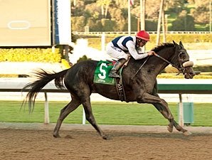 Eblouissante Could Dazzle in Shuvee Return Eblouissante Could Dazzle in Shuvee Return