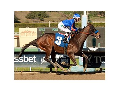 Game On Dude in the San Antonio Stakes.