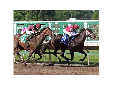 Le Bernardin wins the Pegasus Stakes.