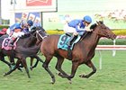 Summer Front Returns in Cliff Hanger Stakes Summer Front Returns in Cliff Hanger Stakes