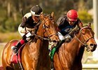 Liberian Freighter wins the 2011 Inglewood Handicap.
<br><a target="blank" href="http://www.bloodhorse.com/horse-racing/photo-store?ref=http%3A%2F%2Fpictopia.com%2Fperl%2Fgal%3Fprovider_id%3D368%26ptp_photo_id%3D113501%26ref%3Dstory">Order This Photo</a>