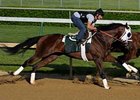 Flying Private worked a quick four furlongs April 27 at Churchill Downs. <br><a target="blank" href="http://www.bloodhorse.com/horse-racing/photo-store?ref=http%3A%2F%2Fgallery.pictopia.com%2Fbloodhorse%2Fgallery%2F81492%2Fphoto%2F8045145%2F%3Fo%3D4">Order This Photo</a>