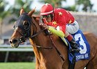 Parranda will start from the outside post in the CEFC Singapore Cup.<br><a target="blank" href="http://photos.bloodhorse.com/AtTheRaces-1/At-the-Races-2015/i-RG9kw2j">Order This Photo</a>
