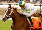 Cambina takes on 5 in the John C. Mabee Stakes at Del Mar.