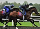 Went the Day Well worked six furlongs in 1:14 2/5 at Keeneland on April 21.<br><a target="blank" href="http://photos.bloodhorse.com/AtTheRaces-1/at-the-races-2012/22274956_jFd5jM#!i=1805214805&k=hNMrVkK">Order This Photo</a>
