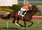 Wild Promises won the Sunshine Millions Filly & Mare Turf Jan. 24 at Gulfstream Park.<br><a target="blank" href="http://www.bloodhorse.com/horse-racing/photo-store?ref=http%3A%2F%2Fpictopia.com%2Fperl%2Fgal%3Fprovider_id%3D368%26ptp_photo_id%3D7535425%26ref%3Dstory">Order This Photo</a>