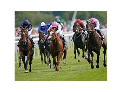Rip Van Winkle (left) takes the Juddmonte International at York.<br><a target="blank" href="http://www.bloodhorse.com/horse-racing/photo-store?ref=http%3A%2F%2Fpictopia.com%2Fperl%2Fgal%3Fprovider_id%3D368%26ptp_photo_id%3D9147888%26ref%3Dstory">Order This Photo</a>