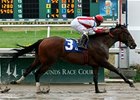 Populist Politics is the 3-1 morning line favorite for the Louisiana Champions Day Classic Stakes.