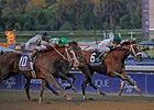Mucho Macho Man (inside rail) edges out Will Take Charge to win the 2013 Breeders' Cup Classic. <br><a target="blank" href="http://photos.bloodhorse.com/BreedersCup/2013-Breeders-Cup/Classic/33150031_7ZnLk4#!i=2879125613&k=tgF9Nnh">Order This Photo</a>