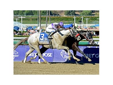 He's Had Enough finished 2nd in the 2012 Breeders' Cup Juvenile.<br><a target="blank" href="http://photos.bloodhorse.com/BreedersCup/2012-Breeders-Cup/Juvenile/26130125_Wz4K8f#!i=2194440122&k=mT36BvZ">Order This Photo</a>