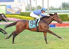 Summer Front wins the Dania Beach.
<br><a target="blank" href="http://www.bloodhorse.com/horse-racing/photo-store?ref=http%3A%2F%2Fpictopia.com%2Fperl%2Fgal%3Fprovider_id%3D368%26ptp_photo_id%3D978005%26ref%3Dstory">Order This Photo</a>