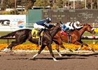 Camp Victory wins the Los Angeles Handicap.
<br><a target="blank" href="http://www.bloodhorse.com/horse-racing/photo-store?ref=http%3A%2F%2Fpictopia.com%2Fperl%2Fgal%3Fprovider_id%3D368%26ptp_photo_id%3D9543196%26ref%3Dstory">Order This Photo</a>