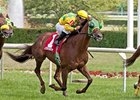 Suntracer takes on 8 in the Kentucky Turf Cup Stakes.