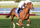 Joes Blazing Aaron leads all the way in the Palm Beach Stakes.<br><a target="blank" href="http://www.bloodhorse.com/horse-racing/photo-store?ref=http%3A%2F%2Fpictopia.com%2Fperl%2Fgal%3Fprovider_id%3D368%26ptp_photo_id%3D9445344%26ref%3Dstory">Order This Photo</a>