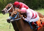 Silver Cloud (right) fights for the win in the Bob Umphrey Turf Sprint.
