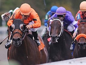 Fatal Bullet Holds On to Win Phoenix Fatal Bullet Holds On to Win Phoenix
