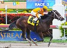 Spring Hill Farm makes his stakes debut in the Tampa Bay Derby.