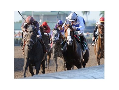 Dialed In (outside) in the Florida Derby.
<br><a target="blank" href="http://www.bloodhorse.com/horse-racing/photo-store?ref=http%3A%2F%2Fpictopia.com%2Fperl%2Fgal%3Fprovider_id%3D368%26ptp_photo_id%3D9475113%26ref%3Dstory">Order This Photo</a>