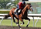 Union Rags worked four furlongs in :47 2/5 at Keeneland on April 20.