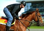 Sam-Son Farm Trying to Win 6th Queen's Plate Sam-Son Farm Trying to Win 6th Queen's Plate