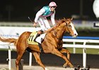 2012 Dubai Duty Free winner Cityscape